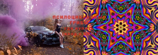 ГАЛЛЮЦИНОГЕННЫЕ ГРИБЫ Алексеевка